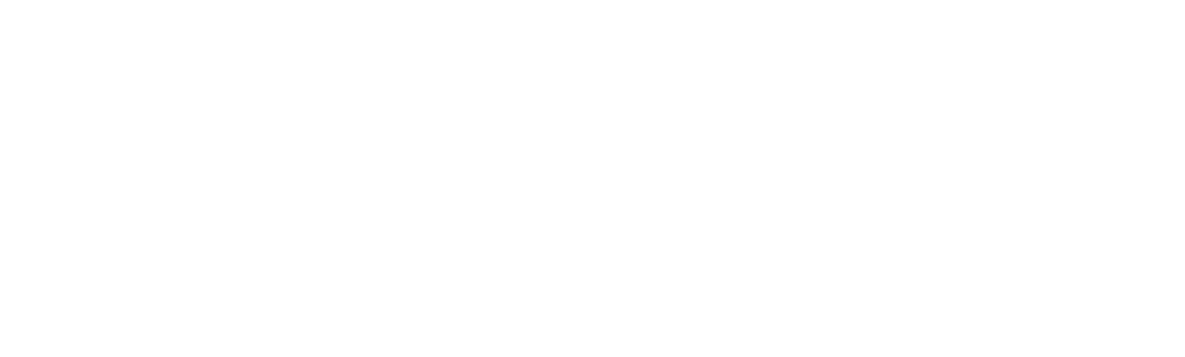 Bridge International